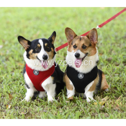 2019 Hot Sale Reversible Dog Harness